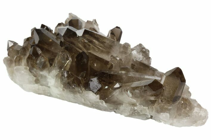 Dark Smoky Quartz Crystal Cluster - Brazil #84847